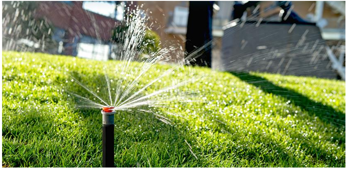 园林草坪的灌溉用水量浅议