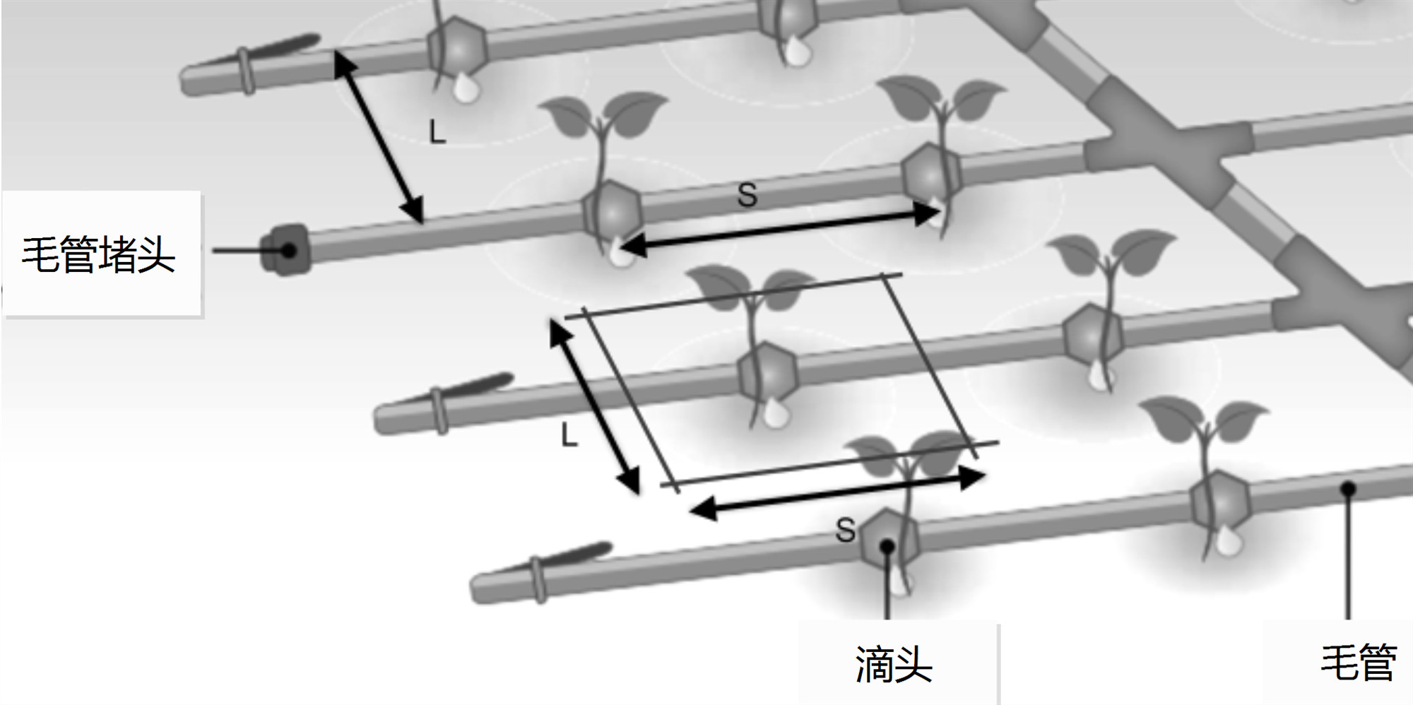 滴头控制面积_s副本.jpg